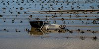 A garbage can in a flooded strawberry field in Pajaro, California, US, on Wednesday, March 15, 2023. Flooding from a levee breach on the Pajaro River Friday put nearly 2,000 residents under mandatory evacuation orders. Photographer: David Paul Morris/Bloomberg via Getty Images