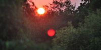 Sunrise held captive in the trees. Photographer: Janet Saad.