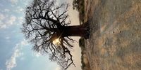 Zambezi sunset Chirundu. Photographer: Jeremy