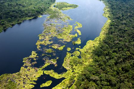 Balancing protection from criminal enterprise and profit to preserve carbon sink rainforest in Congo Basin