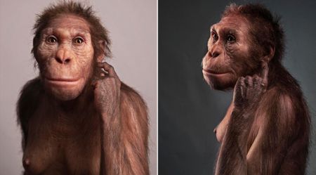 Two-million-year-old bones reveal how our ancient ancestors got about