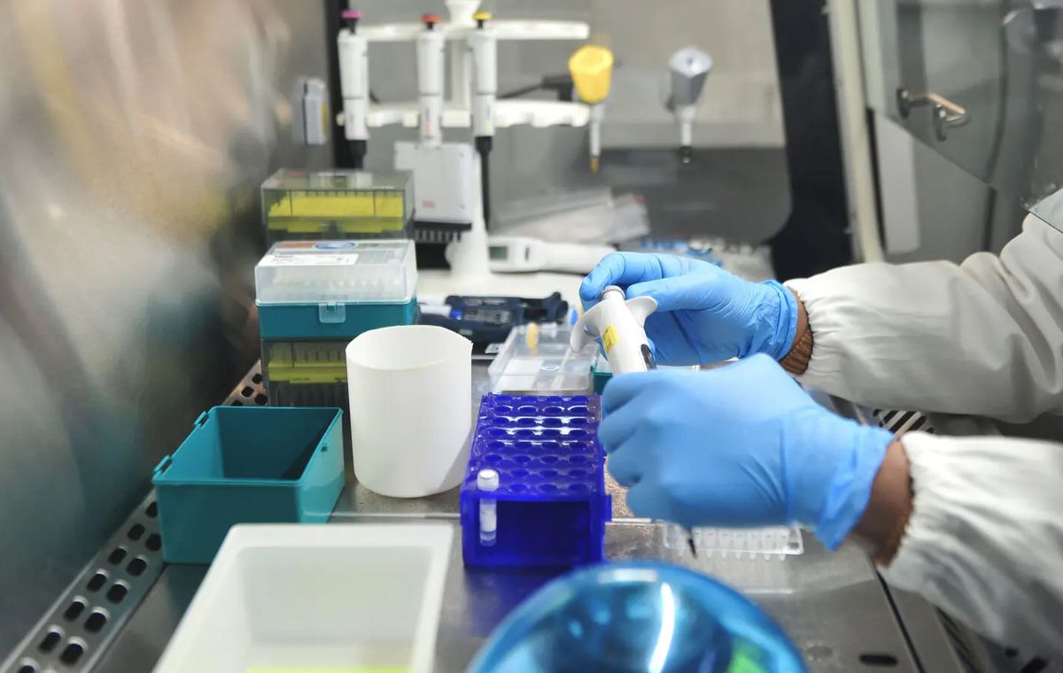 Growing the Beta variant — young scientist remembers the day they ...