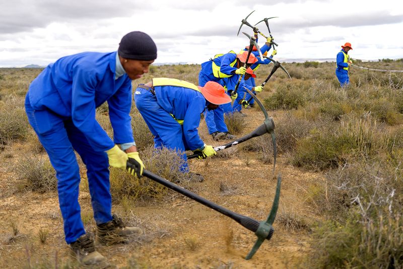 SA’s award-winning thicket project on track to create 100,000 jobs and revive 800,000 hectares