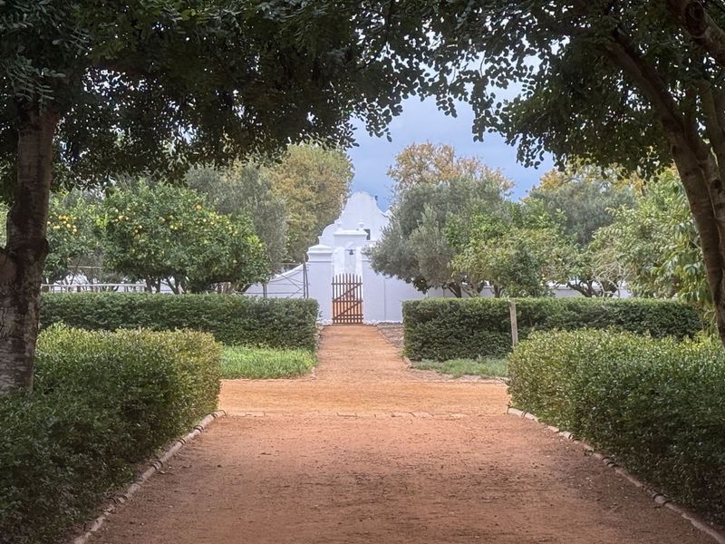 History and craft meet in the Gardens of Babylon