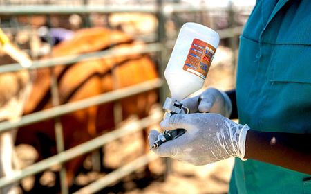 Foot-and-mouth disease vaccine privatisation long overdue, say farmers, experts