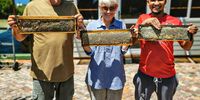 Owen Williams, Christa Le Roux and Zach Appolis, the bee-keeping team at Honeychiild honey.Photo:Angus Begg