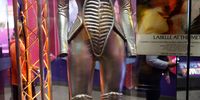 WASHINGTON, DC - MARCH 24: This spacesuit-inspired costume worn by artist Nona Hendryx when she performed with the group Label in 1975 is on display at the temporary exhibit Afrofuturism: A History of Black Futures at the Smithsonian National Museum of African American History and Culture on March 24, 2023 in Washington, DC. The exhibit assembles more than 100 objects from music, film, television, comic books, fashion, theater, literature and more that covers more than a century of Afrofuturism. (Photo by Chip Somodevilla/Getty Images)