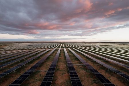 Scatec strengthens regional leadership with appointment of Alberto Gambacorta as General Manager for Sub-Saharan Africa