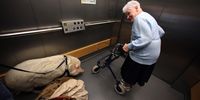 ESSEN, GERMANY - APRIL 12: Pig Felix of physiotherapist Daan Vermeulen and an elderly woman stand in a lift at a senior care facility on April 12, 2011 in Essen, Germany. Vermeulen uses Felix, whom he has specially trained, to provide emotional therapy for the elderly and for handicapped children. He claims contact with the pig stimulates curiosity, activity and even alertness among elderly people and helps them to awaken from the passivity that often sets in as they become older. Vermeulen says he helps those patients who react with fear to the pig to channel the emotion into a positive experience.  (Photo by Ralph Orlowski/Getty Images)