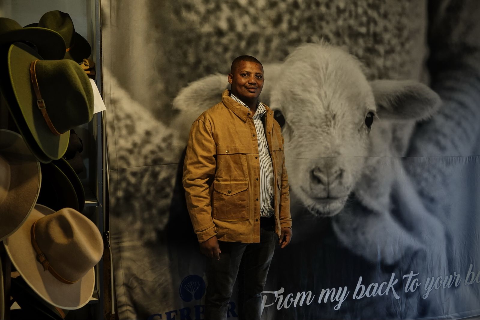 Woolly world – celebrating the merino sheep of the Karoo