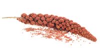 Africa’s ancient grains find new favour with gluten-free foodies