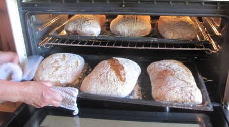 Knead2Know: An abundance from Farm to Table