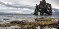 Icelandic elephant. Image: Conrad Walker 