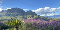 Banghoek Valley from Delaire Wine Estate. Image: :Alison Gilbert