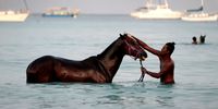 BRIDGETOWN, BARBADOS - NOVEMBER 16:  Corey McDonald wades in the sea with a horse from the Garrison Savannah horse racing track home to the Barbados Turf Club on November 16, 2021 in Bridgetown, Barbados. The horses are brought to the sea each day for exercise. On Nov. 30, 2021 the 55th anniversary of the country’s independence from Britain, Barbados will remove Queen Elizabeth as head of state and swear in a local Barbadian president as head of state. In doing so, Barbados will become a republic.  (Photo by Joe Raedle/Getty Images)