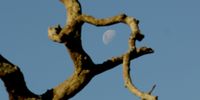 The full Moon knows. Photographer:Andrew Mathios