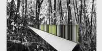 I am interested in the idea of nature as a cultural construct. In my series, the real and the manipulated overlap, resulting in a new landscape. In the foreground is a monochrome scene, and at the rear is a digital ‘backstage’. These images deal with observations such as the perception of colour through its absence, or the flatness of paper through its fold. © Andrea Alkalay, Argentina, Shortlist, Professional, Creative, 2021 Sony World Photography Awards