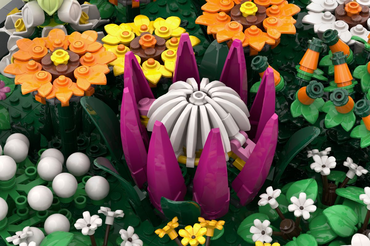 Bricks nation: Cape Floral Kingdom reimagined in Lego