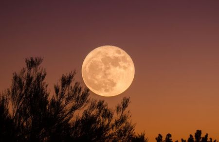 The space economy: Suddenly everyone wants to go back to the moon