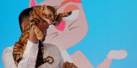 epaselect epa10370510 A judge inspects a participating cat during a competition at the Pet Fed, India's biggest pet festival, in New Delhi, India, 17 December 2022. The Pet Fed runs on 17 December and 18 December 2022 and offers numerous activities for pets and pet lovers as well as workshops and all kinds of fun events that aim at tightening the bond between pets and their owners.  EPA-EFE/RAJAT GUPTA