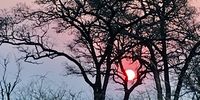 Sunset Pretorius Kop KNP