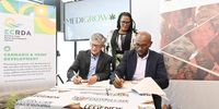 Medigrow CEO Edgar Adams (left) signs a memorandum of understanding with the Eastern Cape Rural Development Agency’s acting chief executive, Gcinumzi Qotywa, while MEC Nonkqubela Pieters looks on.Photos: Supplied