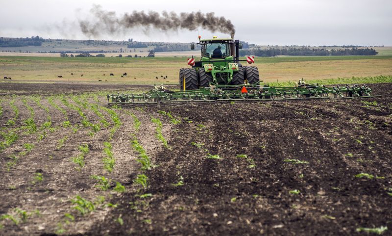 Western Cape’s driest July is a harbinger of parched summer as El Niño strengthens
