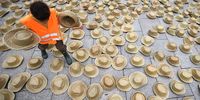 A young participant helps to arrange straw hats, representing heat related fatalities, during a climate protest in Berlin, Germany, 22 September 2023. People from the health care sector and members of Last Generation (German: Letzte Generation) took to the streets to draw attention to the health threats posed by the climate crisis.  EPA-EFE/CLEMENS BILAN