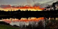 Vygeboom Dam, Durbanville WC.<br>