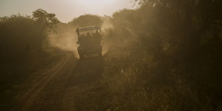 National lockdown tightens its grip on game reserves and their staff