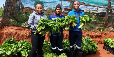 ‘The purpose of my life is to help people stop hunger,’ says cancer survivor and agripreneur