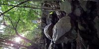 Palmiet Nature Reserve - Westville.