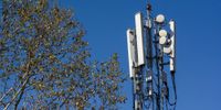 Archive Photo: A cellphone tower stands alongside a tree in Johannesburg, South Africa, on Thursday, Aug. 6, 2020. (Photo: Waldo Swiegers/Bloomberg via Getty Images)