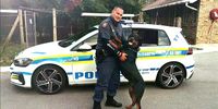Loyal SAPS K9 officer Mufasa had an impeccable arrest record and was widely mourned after his death on Monday. (Photo: SAPS)