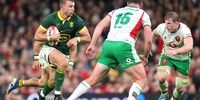 Handré Pollard  breaks during the Autumn Nations Series 2024 match against Wales and South Africa at the Principality Stadium in Cardiff on 23 November 2024. (Photo: David Rogers / Getty Images)