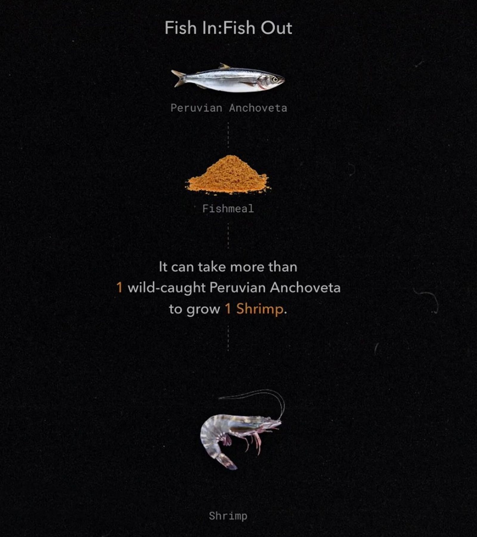 Destructive fishing methods