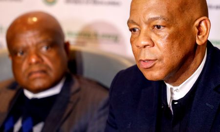 Electricity tariffs force a choice between food or power, says Electricity Minister Ramokgopa