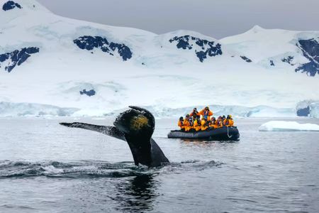 Over 60 and going places — how to see the world without roughing it