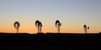 Wind pumps at sunset. Image: Chris Marais<br>