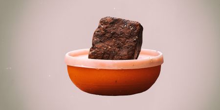 ‘There is no school feeding’