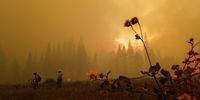 The Calfor fire rips through the canyon from Strawberry Lodge toward Lake Tahoe basin, in California, as firefighters with Cal Fire and other fire departments try to protect homes and shelters across the area, August 29, 2021. (Photograph: Courtesy of Lynsey Addario and Lyles & King, New York)