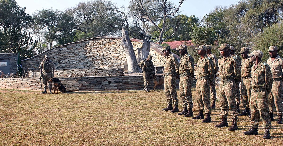 Plea to support Africa’s game rangers as conflict spreads to more parks