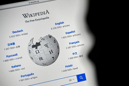 Wikipedia operator appeals Indian court's order to remove content, sources say