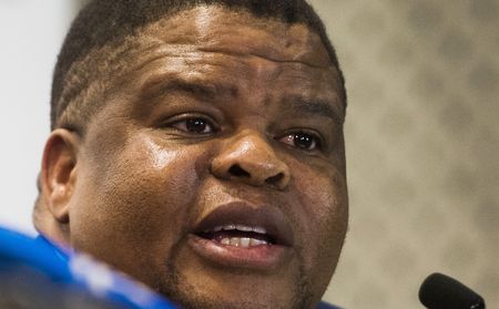 Ex-Zuma ally Mahlobo calls for patience and backs Ramaphosa's response amid Fraser's farm-theft claims