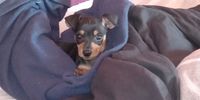 Wrapped up warm. Photographer: Janet Saad</p>
<p>P4U_readersubmission_20250614