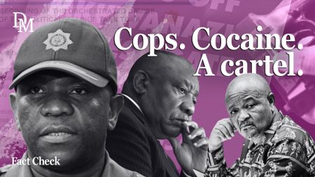 Watch – Inside Mkhwanazi’s claims: South Africa held hostage by criminal cartel