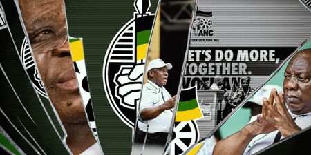 Weekend Wrap: Why the ANC lost power, cancer-fighting secrets of indigenous plants, and where to wild swim