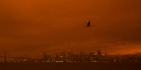 Smoke from various wildfires burning across Northern California mixes with the marine layer, blanketing the San Francisco skyline in darkness and an orange glow, seen from Treasure Island on September 9, 2020 in San Francisco, California. Over 2 million acres have burned this year as wildfires continue to burn across the state. (Photo by Philip Pacheco/Getty Images)