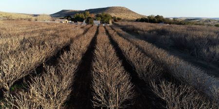 Impact investing platform offers returns that are simply nuts