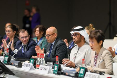 Countries staying committed to climate plans after US Paris pact exit, UN climate chief says